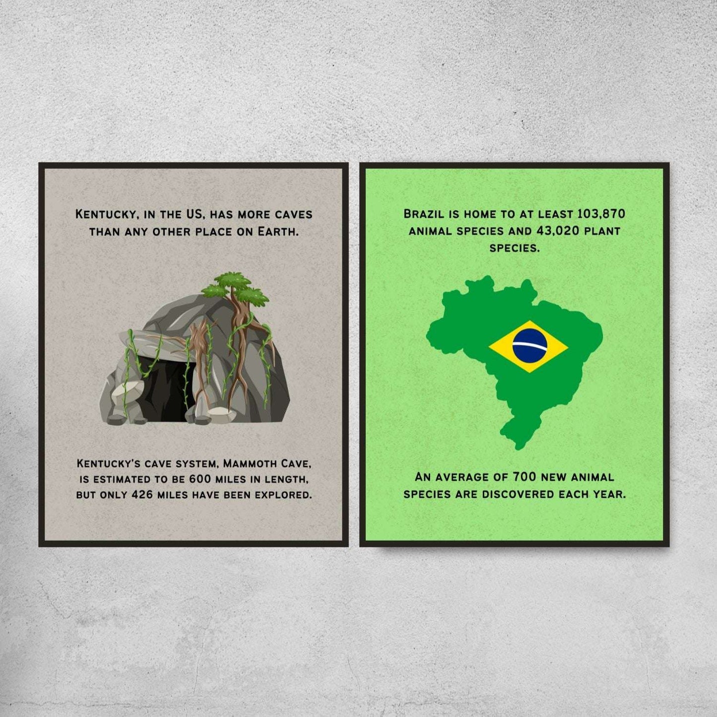 Fun Facts Posters for Geography Classroom Decor