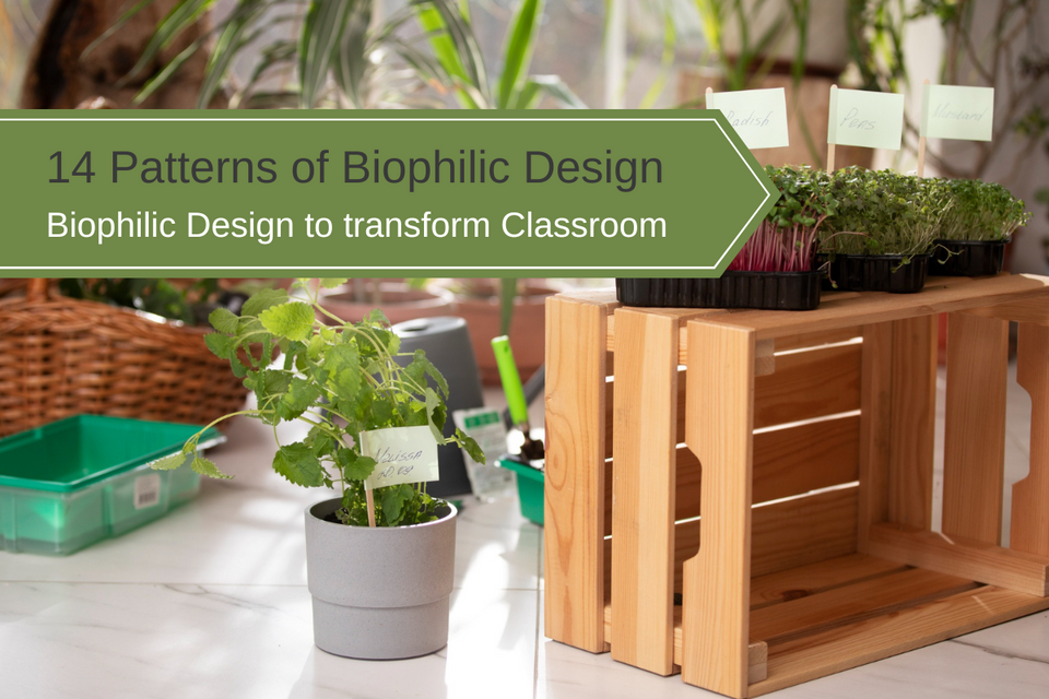 The 14 Patterns of Biophilic Design in Classrooms