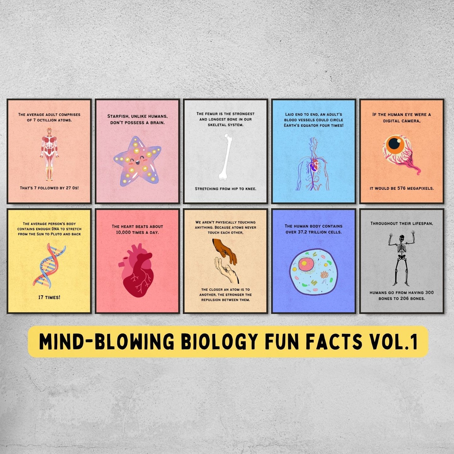 fun facts posters for biology classroom decor