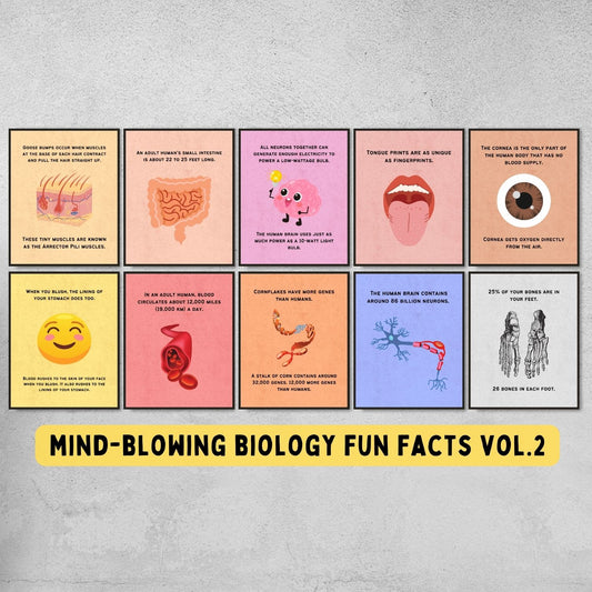 Fun Facts Posters for Biology Classroom Decor