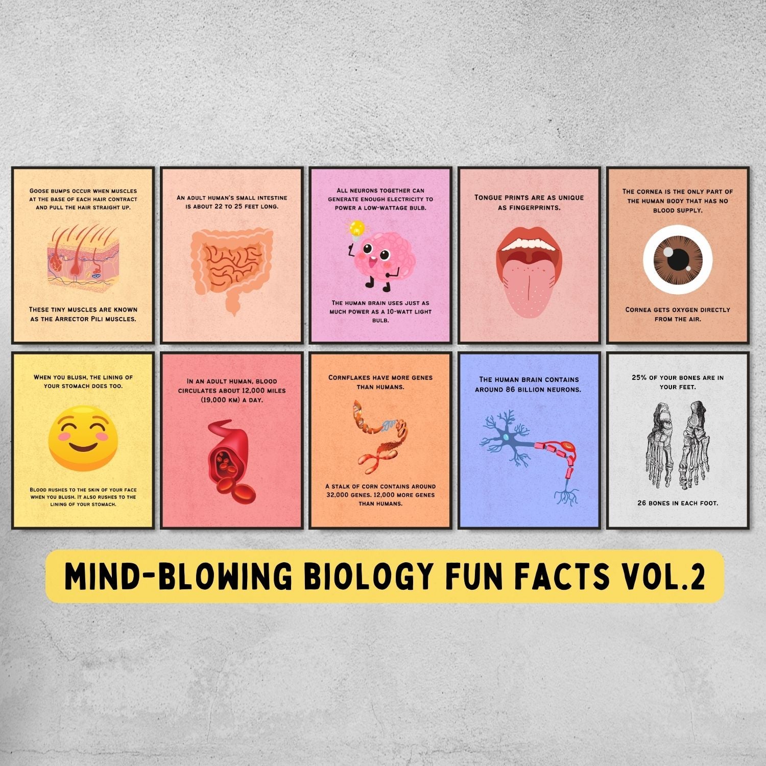 fun facts posters for biology classroom decor