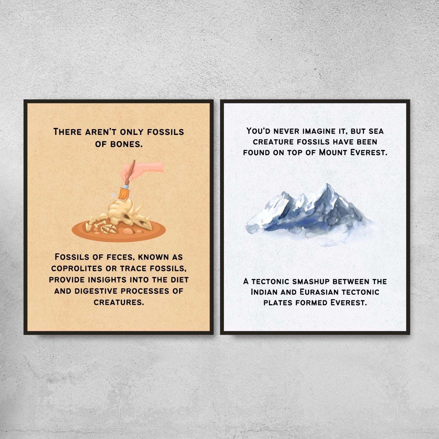 Fun Facts Posters for Geology Classroom Decor