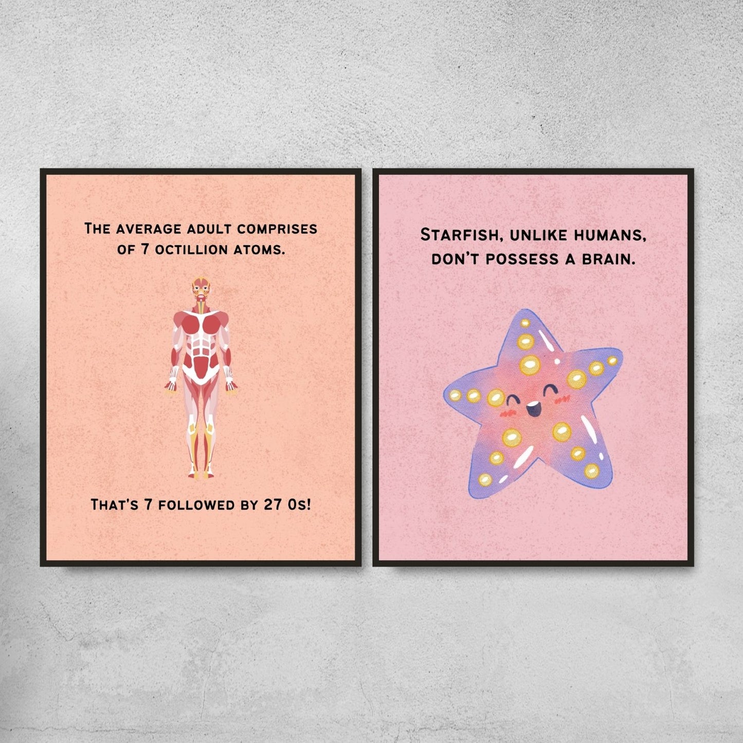 Fun Facts Posters for Biology Classroom Decor