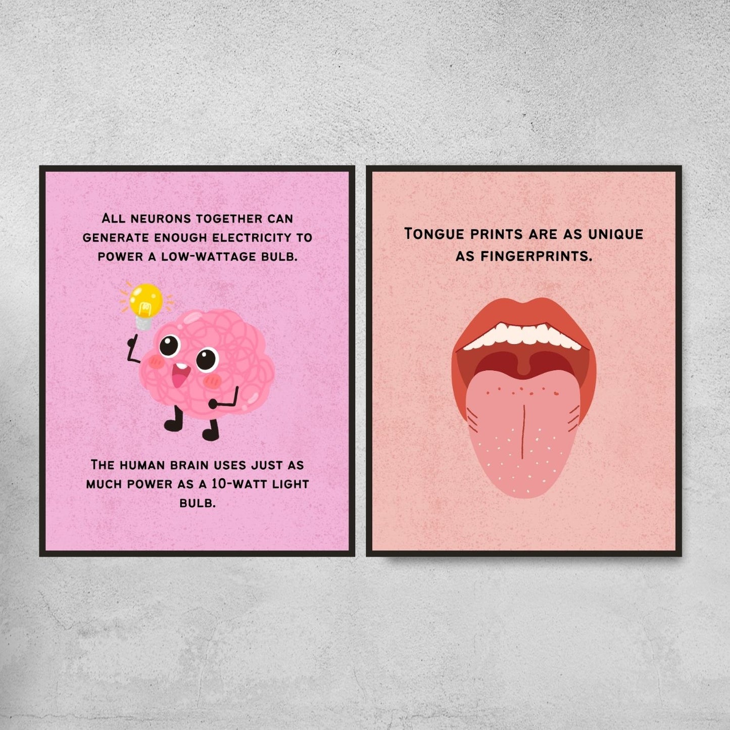 Fun Facts Posters for Biology Classroom Decor