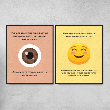 Fun Facts Posters for Biology Classroom Decor