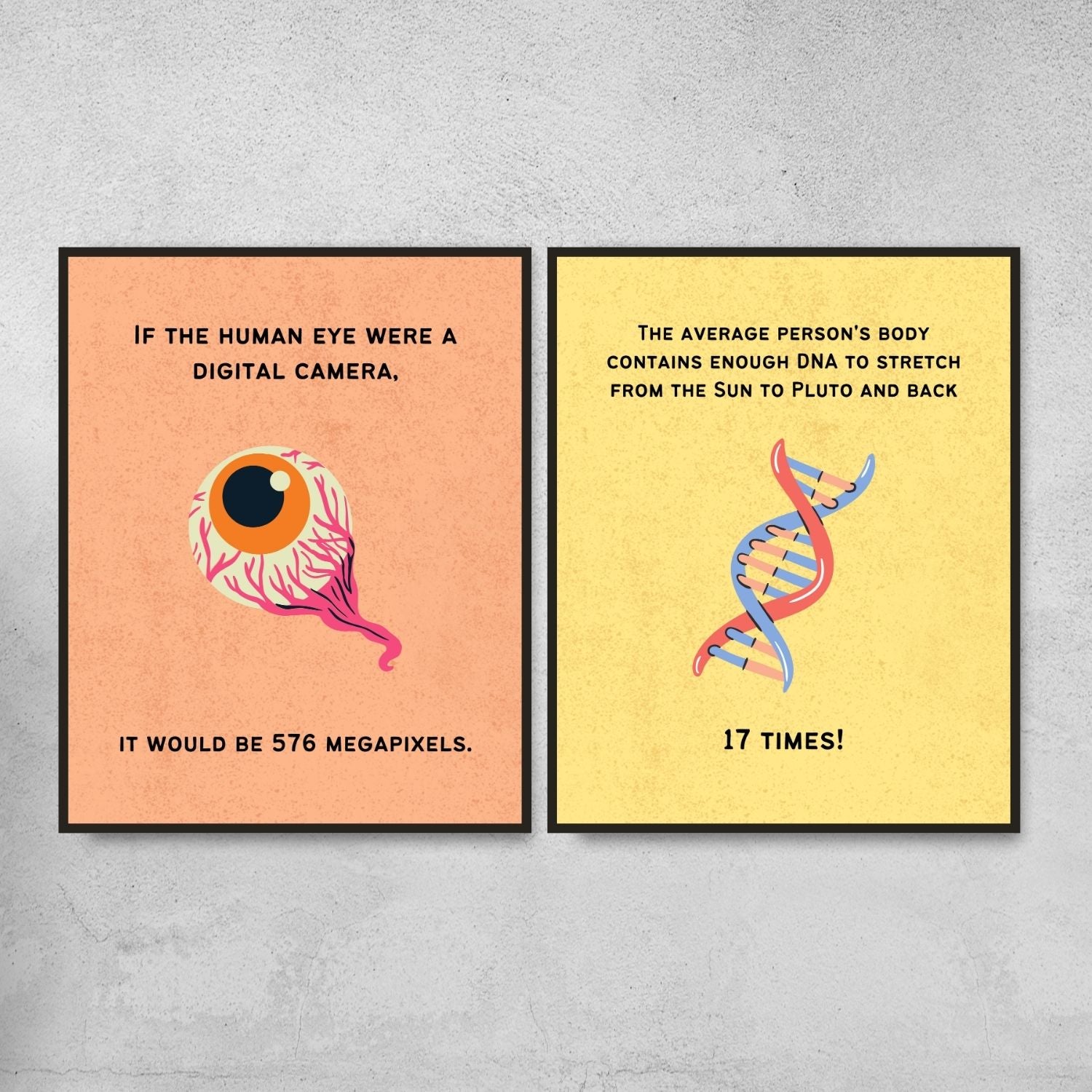 Fun Facts Posters for Biology Classroom Decor