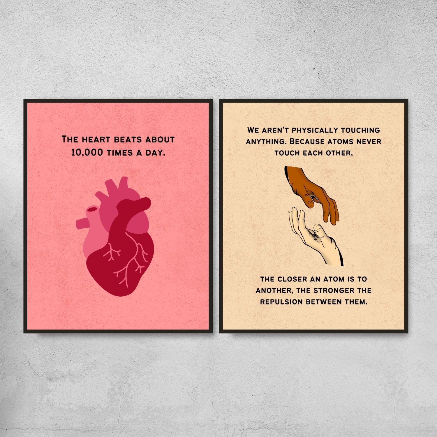 Fun Facts Posters for Biology Classroom Decor