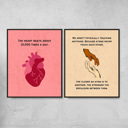 Fun Facts Posters for Biology Classroom Decor