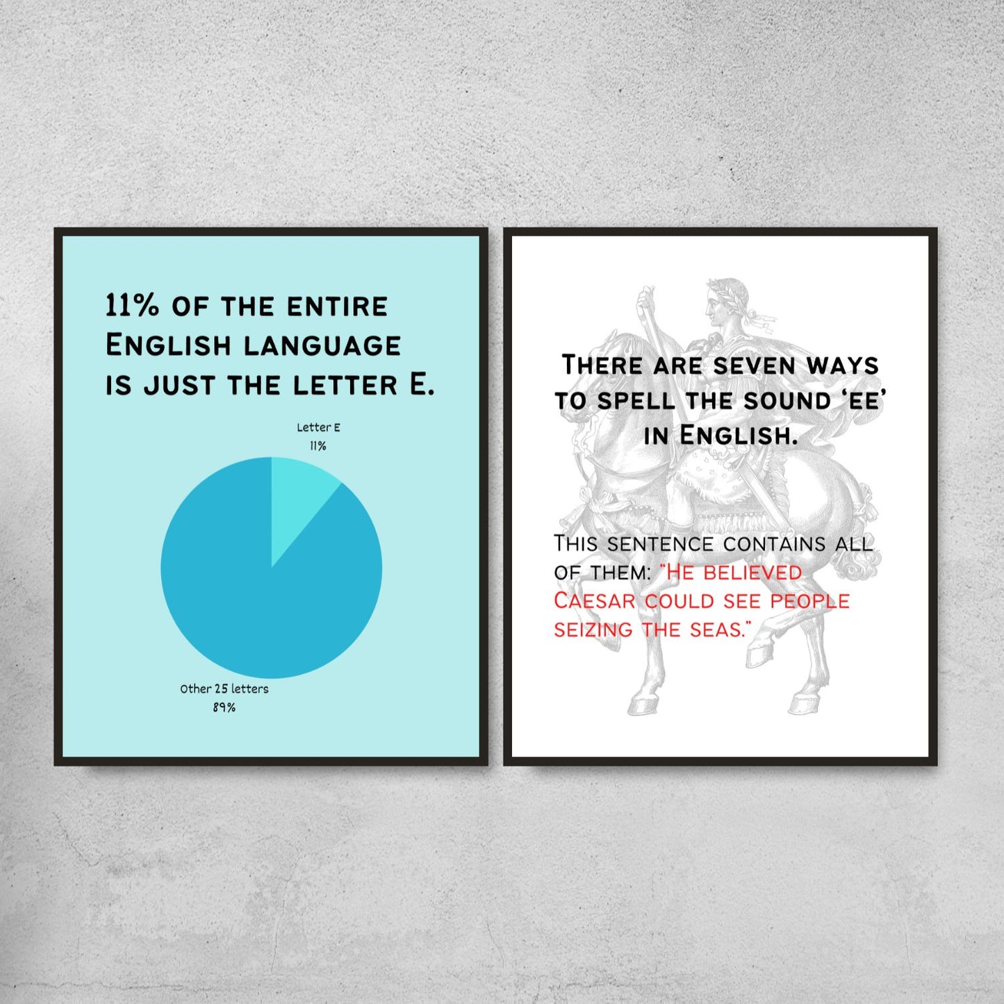 Fun Facts Posters for English Classroom Decor