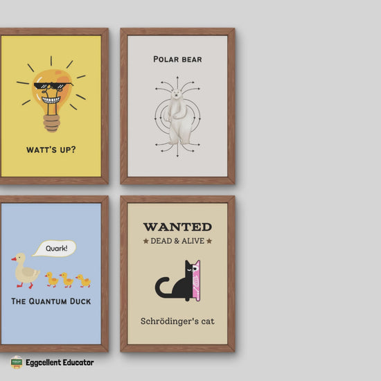 Funny Posters for Physics Classroom Decor