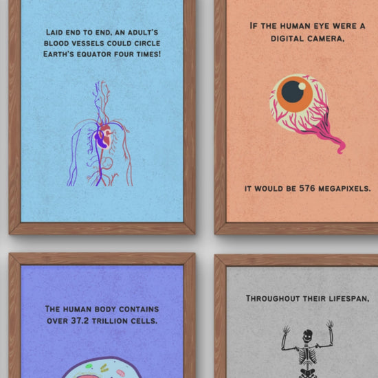 Fun Facts Posters for Biology Classroom Decor