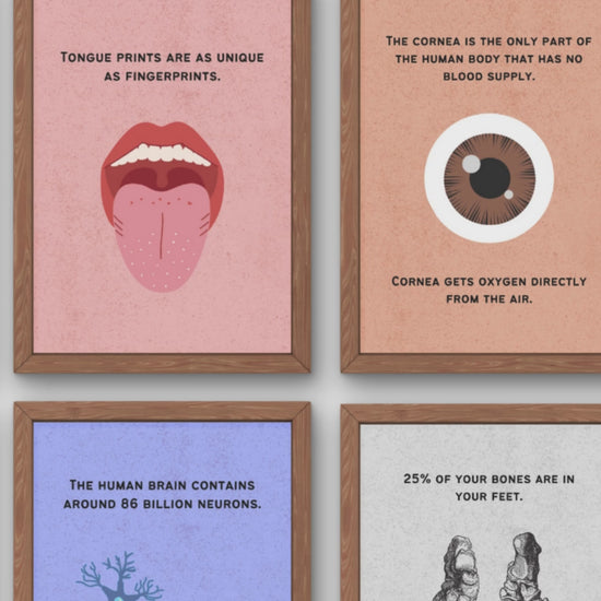 Fun Facts Posters for Biology Classroom Decor