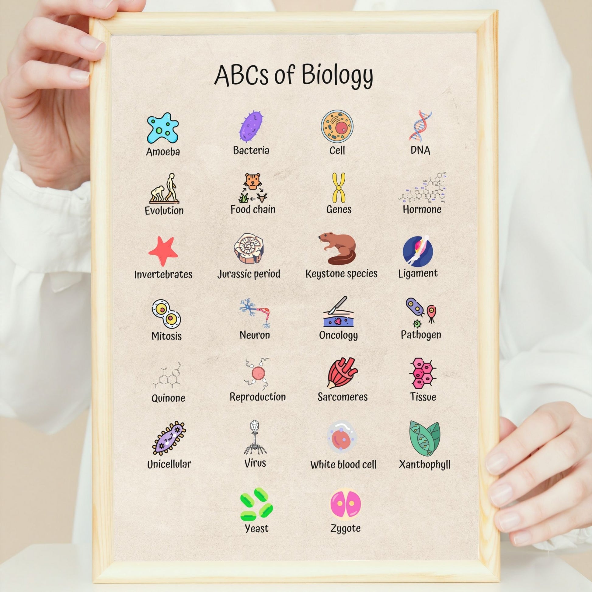 ABCs of Biology Poster for Science Classroom Decor