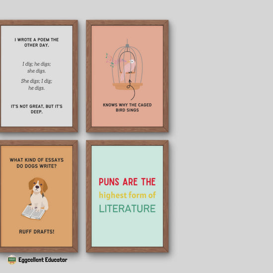 Funny Literature Poster for English Classroom Decor