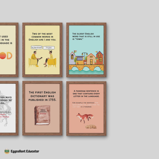 Fun Facts Posters for English Classroom Decor