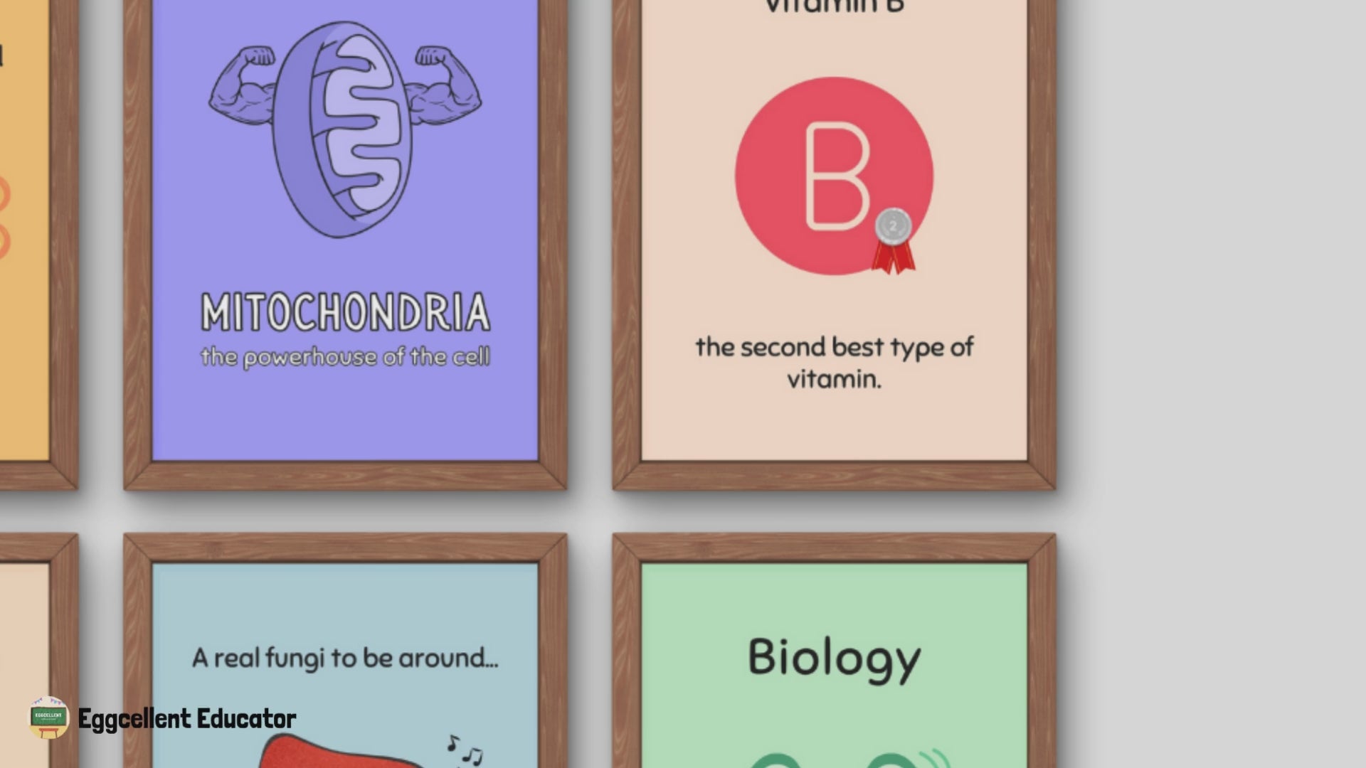 Funny Posters for Biology Classroom Decor