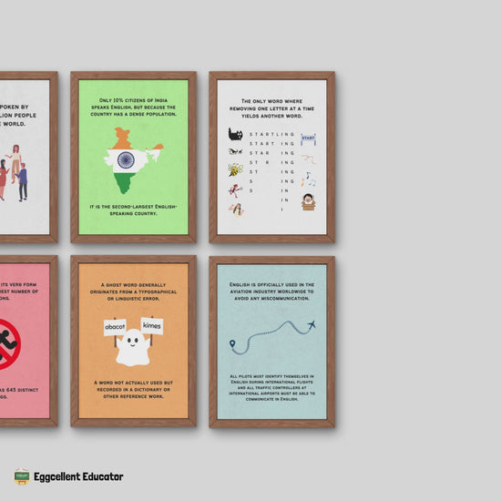 Fun Facts Posters for English Classroom Decor