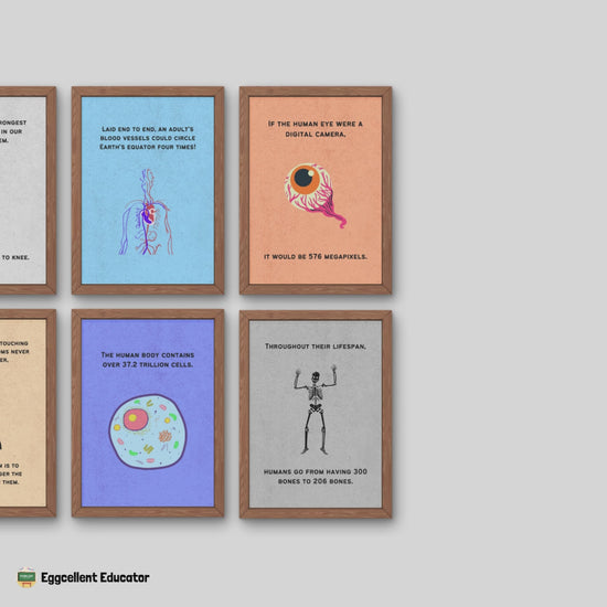 Fun Facts Posters for Biology Classroom Decor