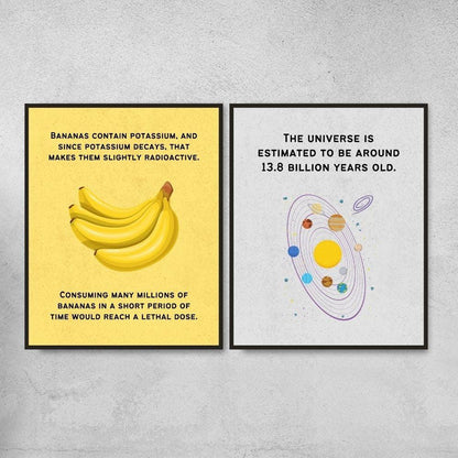 Physics fun facts posters for science classroom decoration